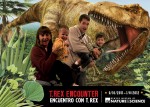 Feeding the T-Rex