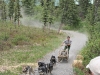 Summer Dog Sledding
