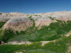 Yellow mounds