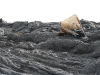 Speeding Lava