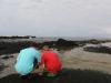 Checking out tidal pools