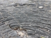 Lava rock, as imaged by Evan