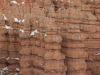 Hoodoo closeup