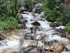 Cottonwood Creek