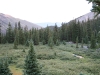 Cottonwood Basin at Dusk