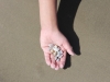 Digging for clams