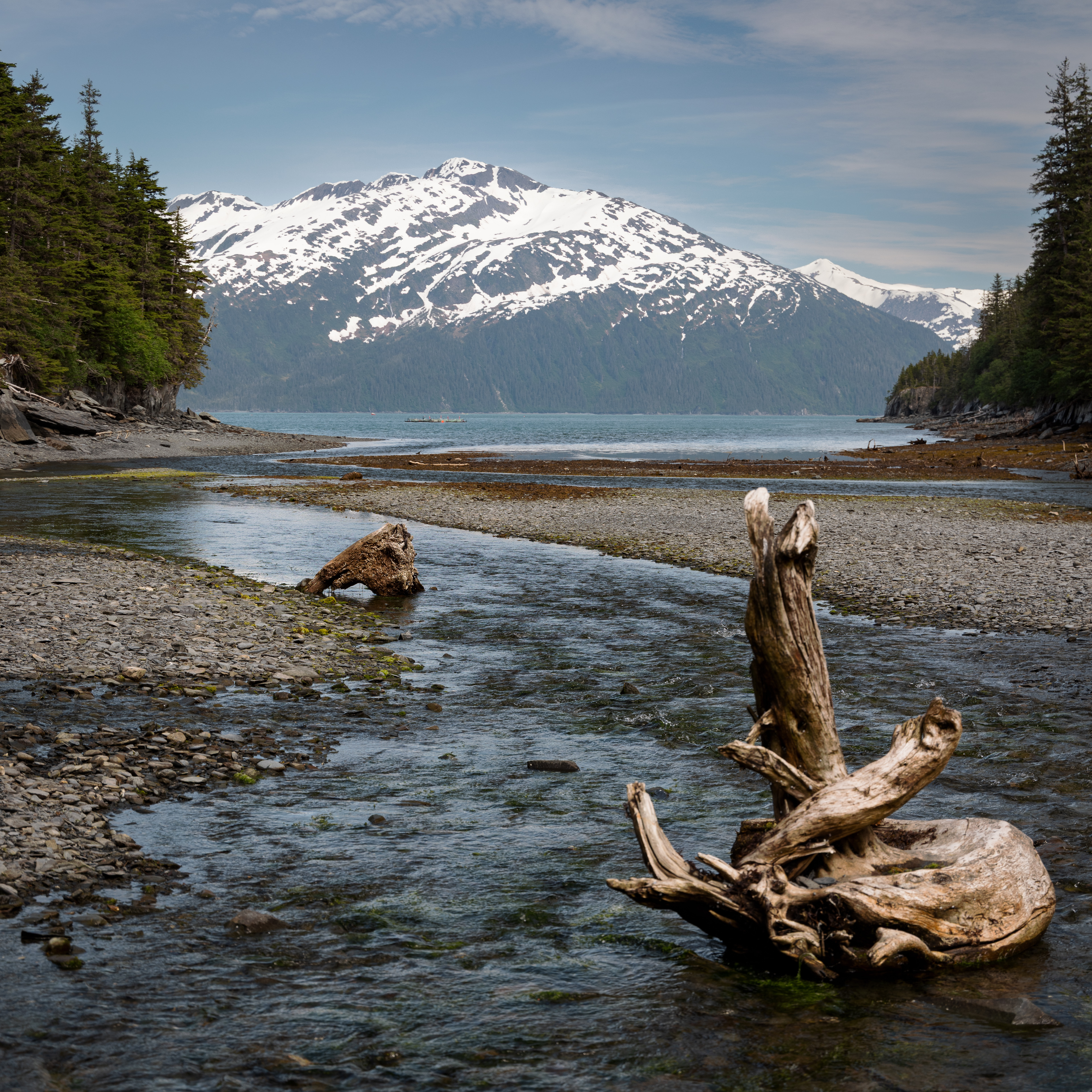 Prince William Sound