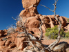 Balanced Rock