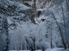 Frosty Yosemite Fall
