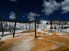 Alien landscape