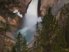 Lower Yellowstone Falls