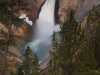 Lower Yellowstone Falls