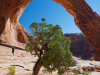 Corona Arch