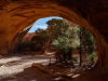 Navajo Arch