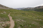 Trail through the alpine tundra