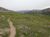 Trail through the alpine tundra