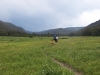 Lara and Bacchus hike up the West Fork drainage in the Mount Zirkel Wilderness