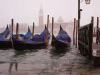 Gondolas at San Marco