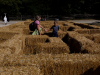Alex leads Lara through the maze at Mt. Vernon