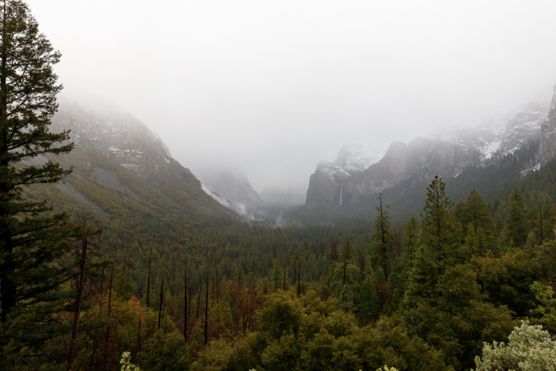 Tunnel View