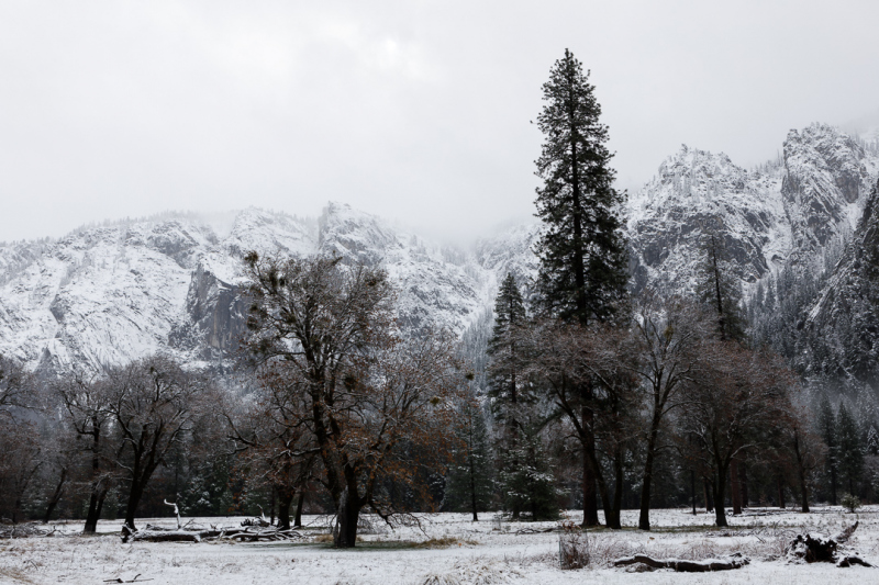 Frosty Valley