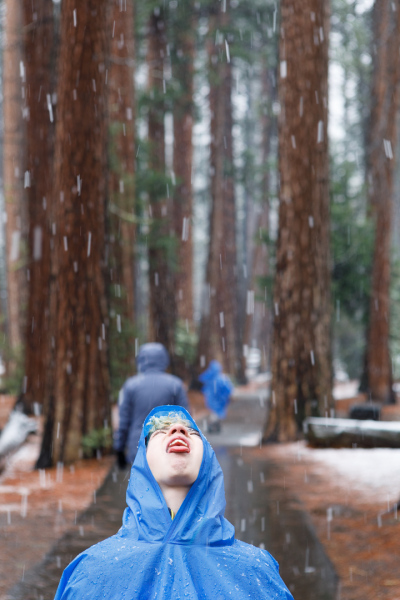 Snowcatcher