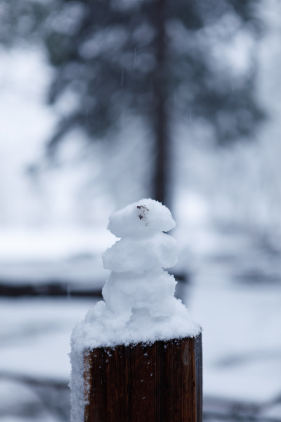 Sierra Snowman