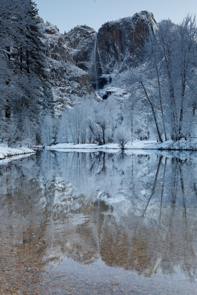 Reflected Fall