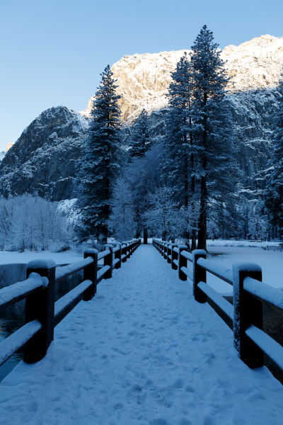 Swinging Bridge