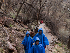 A brief walk in the rain