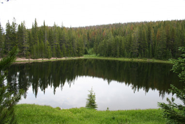 Beaver ponds near our campsite in Mount Zirkel Wilderness
