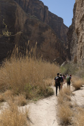 Hiking the Canyon