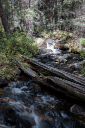 Tanglewood Creek