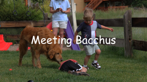 Meeting Bacchus